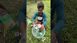 How To Spraying Medicine On Mango Tree in Indian Village