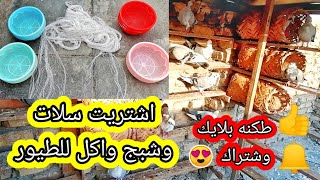 يوميات السطح اشتريت حلات اسلال للطيور واكل للطيور وجب شبج مال محميه ?? ?