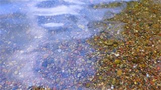 Дно Реки. Камни на Дне Реки Сквозь Прозрачную Воду. Камни на Дне Реки. Футажи для Видеомонтажа