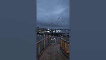 Qur'an قران تلاوة خاشعة #المصحف #قرآن