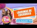 🔴 LUPITA JONES se disculpa... PERO NADIE LE CREE [ show completo ] | Chisme en Vivo