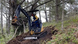 Mini Excavator Cutting a Trail and Clearing Trees