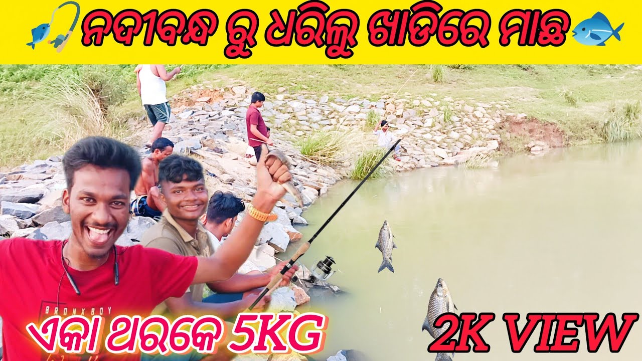 😨ନଦୀବନ୍ଧ ରୁ ଧରିଲୁ ଖାଡ଼ିରେ ମାଛ🎣river fishing#vlog#fishing#hook#fish #fishingvideo#odia#blog#how#viral