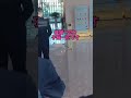 悶絶級のかわいさ！猫ちゃんの神業集🥰