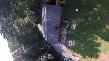 Power loop proximity trees practice