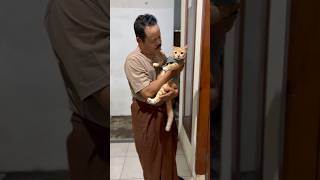 Download Lagu Abis dikasih obat,kabur ngadu ke kakeknya MP3 Download Lagu Abis dikasih obat,kabur ngadu ke kakeknya MP3