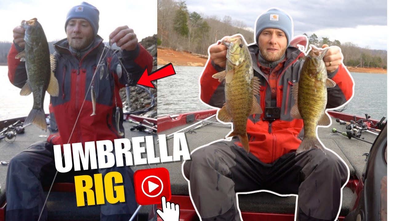 Bass Fishing with the Umbrella Rig!
