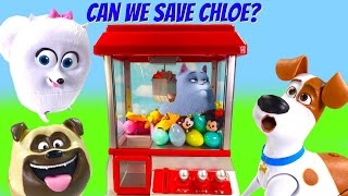 Secret Life Of Pets Play Claw Machine Game