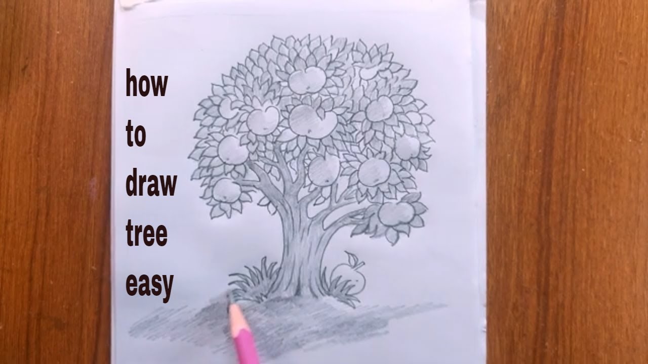 how to draw a tree easy/apple tree drawing/tree drawing