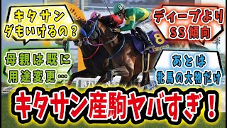 【競馬の反応集】「芝もダートもいける！キタサンブラック産駒ウィルソンテソーロがかきつばた記念制覇！」に対するみんなの反応集