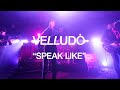 Velludo「Speak Like」ライブ映像