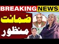 Bail Approved | Big News for PTI | Breaking News | Capital TV