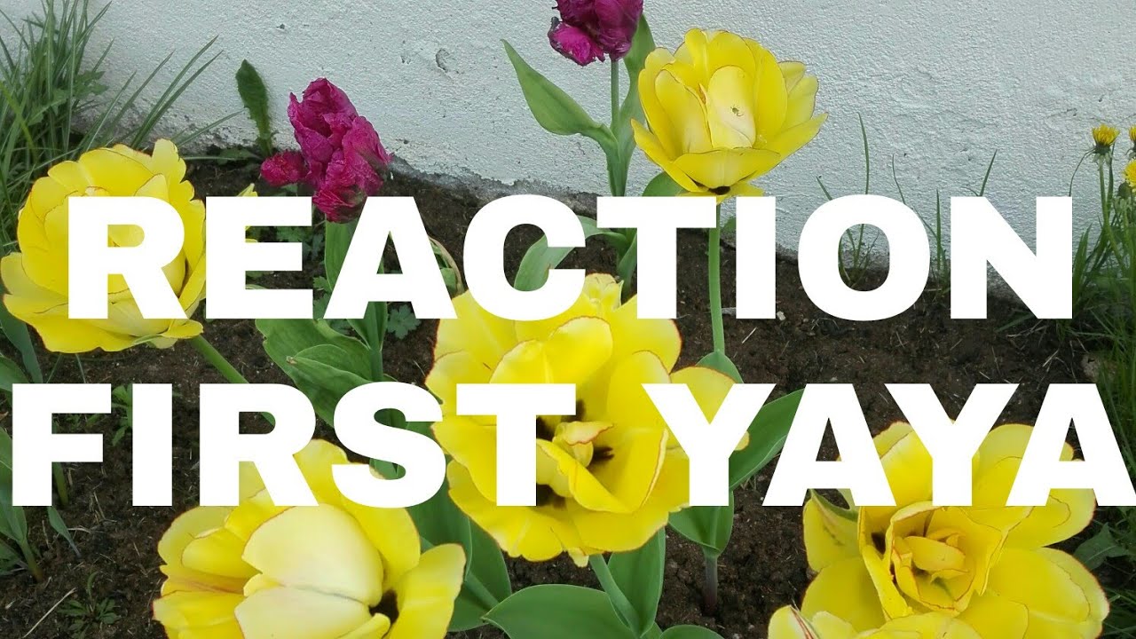 First Yaya May 21, 2021 Full Episode 46