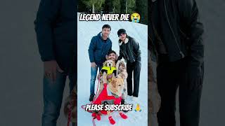 reo! reo and leo! reo new video! reo ki shopping! reo ka birthday #anantrastogi #reo #leo miss u leo