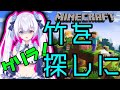竹を取りに行こう!!【月波ナト / #NatoLive /Minecraft】