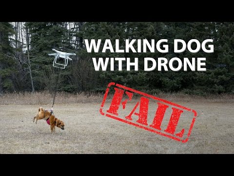 Walking Dog with Drone. FAIL!