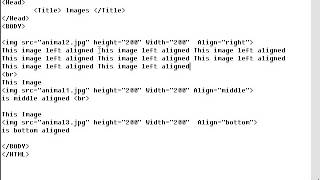 img tag with align attribute