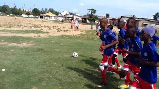 CHEK TRAINIG JUU YA KOCHA COW  BERLIN