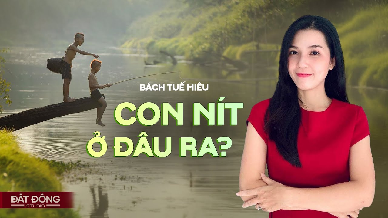 CON NÍT Ở ĐÂU RA? - Truyện quê hương Đất Quê Radio