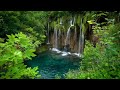 Forest Waterfall No Bird Sound -10 Hours Nature Sounds White Noise for Relax and Sleep