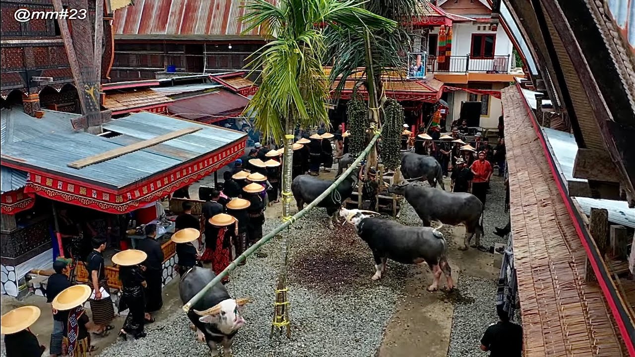 Save# Part.9 Rambu Solo’ Nenek Ippang Bamba Tagari Balusu - YouTube