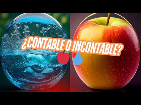 Vehicle Es Contable O Incontable
