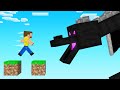 I jumped through all of Minecraft..