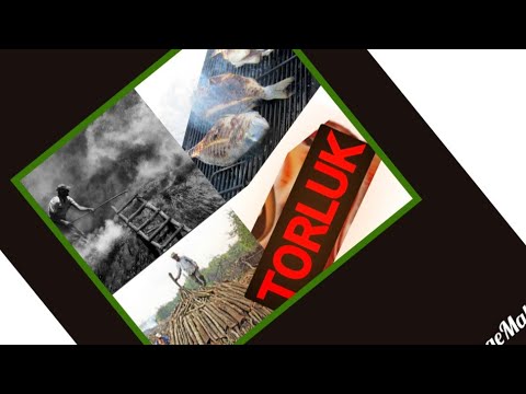 Video: Huş Kömürü: 3, 5 Ve 10 Kg'lık Ambalaj, Kömür Kullanımı, Mangal Için Odun Kömürü Seçimi, Nasıl Yapılır, Yanma Sıcaklığı