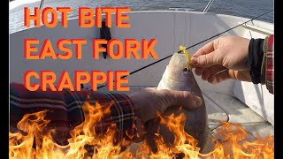Hot Bite East Fork Lake Crappie Fishing