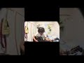君とずっとくらしたい   to be continued  cover石川英之#石川英之 #弾き語り #シンガーソングライター #showroom