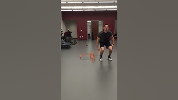 Multi-Directional Hurdle Jumps w/ Catch