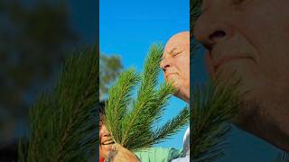 Environmental fighters help desert lands go green