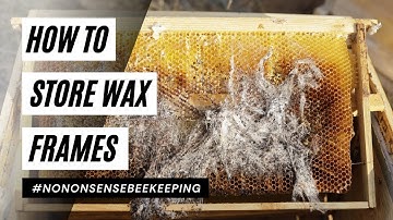 How to Store Wax Frames - Store Wax Frames in Winter - How To Prevent Wax Moth Damage
