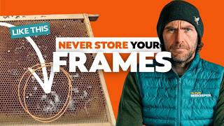 🐝 How To Look After Your Frames - They Are Worth Their Weight in Gold