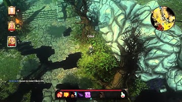 Divinity Original Sin Enhanced Edition Gameplay Walkthrough Part 9 PS4