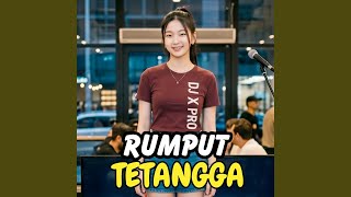 Download Lagu Rumput Tetangga