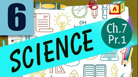 class 6 science chapter 7 getting to know plants part 1 15 june 2020