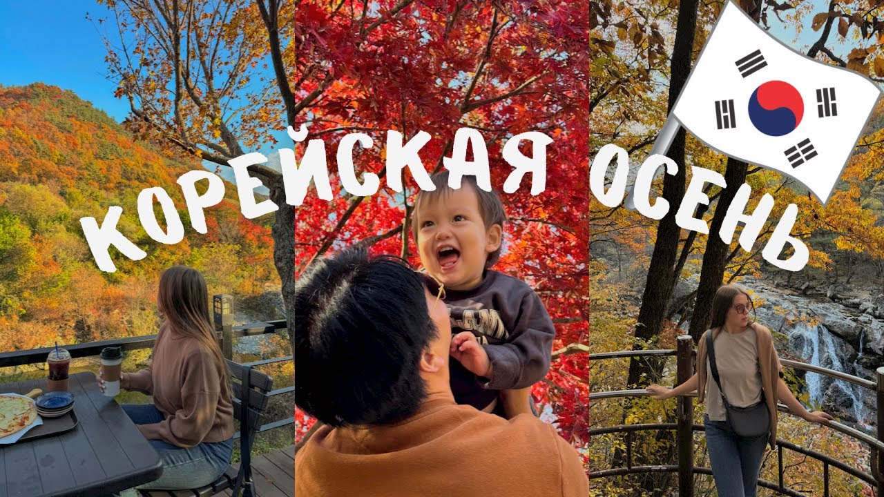 Влог| мужу не понравились сырники, начала вязать, винная пещера, красивая осень