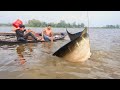 Suddenly Sleeping Moment  Time  New  Fishing Scene In Rural Environment Polo Fishing Video