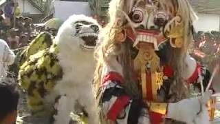 Arak-Arakan Barong Ogo-Ogo Surya Buana 