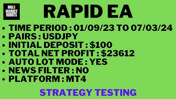 Rapid EA MT4 Forex Robot Strategy Testing | mql5 market robots