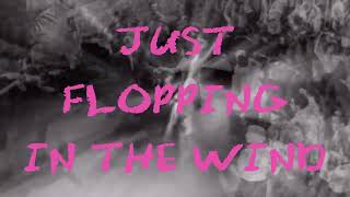 193 inc - Wamblys official lyric video