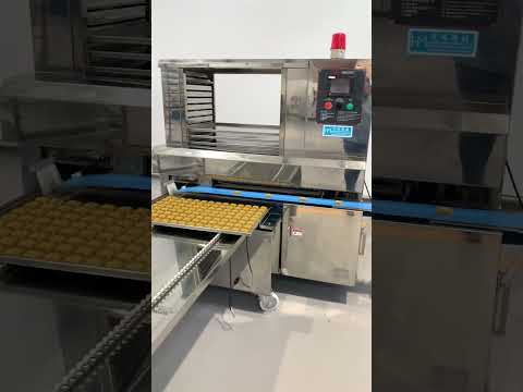 خط انتاج المعمول   