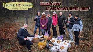 Белый гриб и опенок, очень много 22 окт. день 1. Поход с группой Липецк.