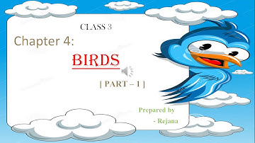 CLASS-3|CHAPTER-4|PART-1|SCIENCE|BIRDS