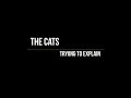 The Cats - Trying To Explain (Live)