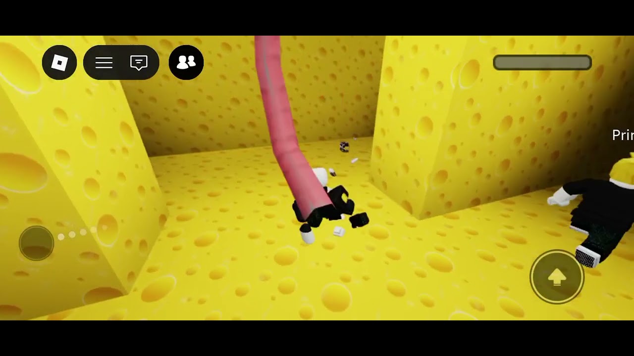 DI KEJAR TIKUS ROBLOX JAHAT👹