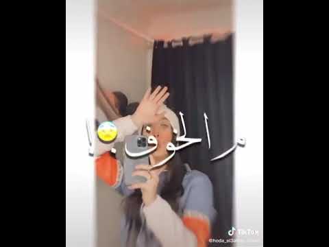 مجنون دماغي طقه بصوت امل ابو المجد بالكلمات