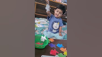 Easy Color Sorting Activity for toddlers #classmonitor #toddleractivities #shortsvideo