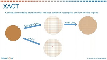 XACT Accurate Cell Technology